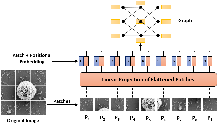EMCNet: Graph-Nets for Electron Micrographs