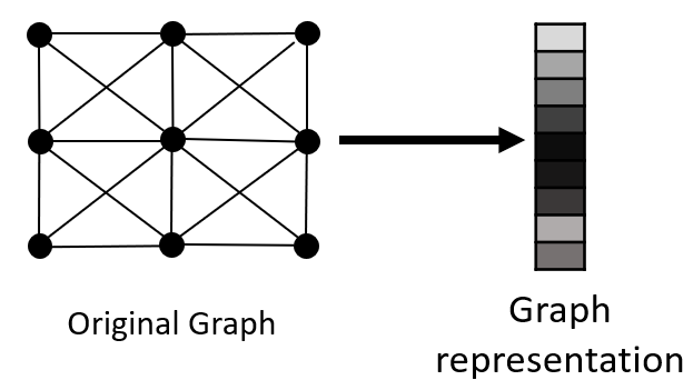 Graph Representation of Electron Micrograph
