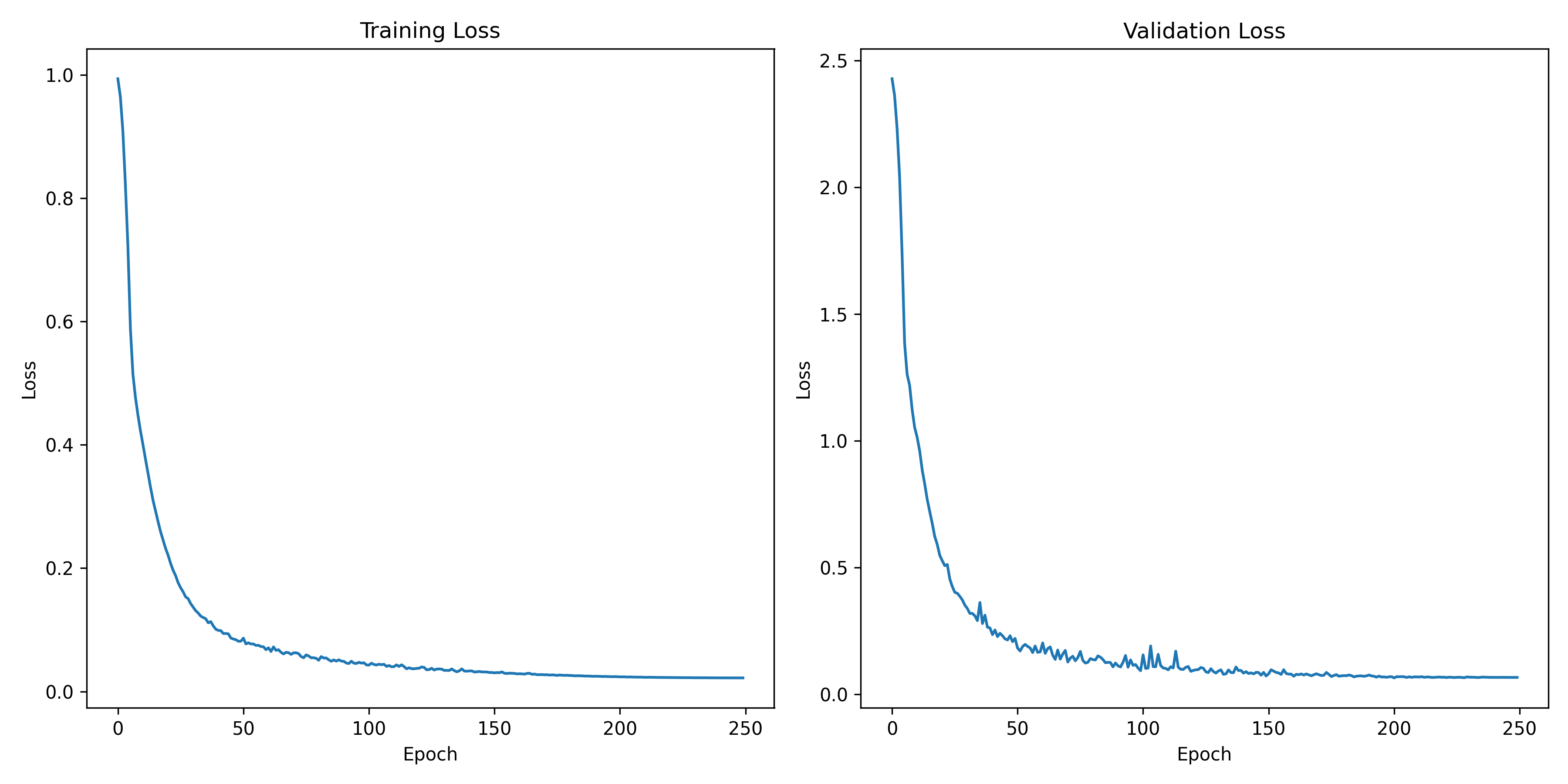 Training Convergence Loss